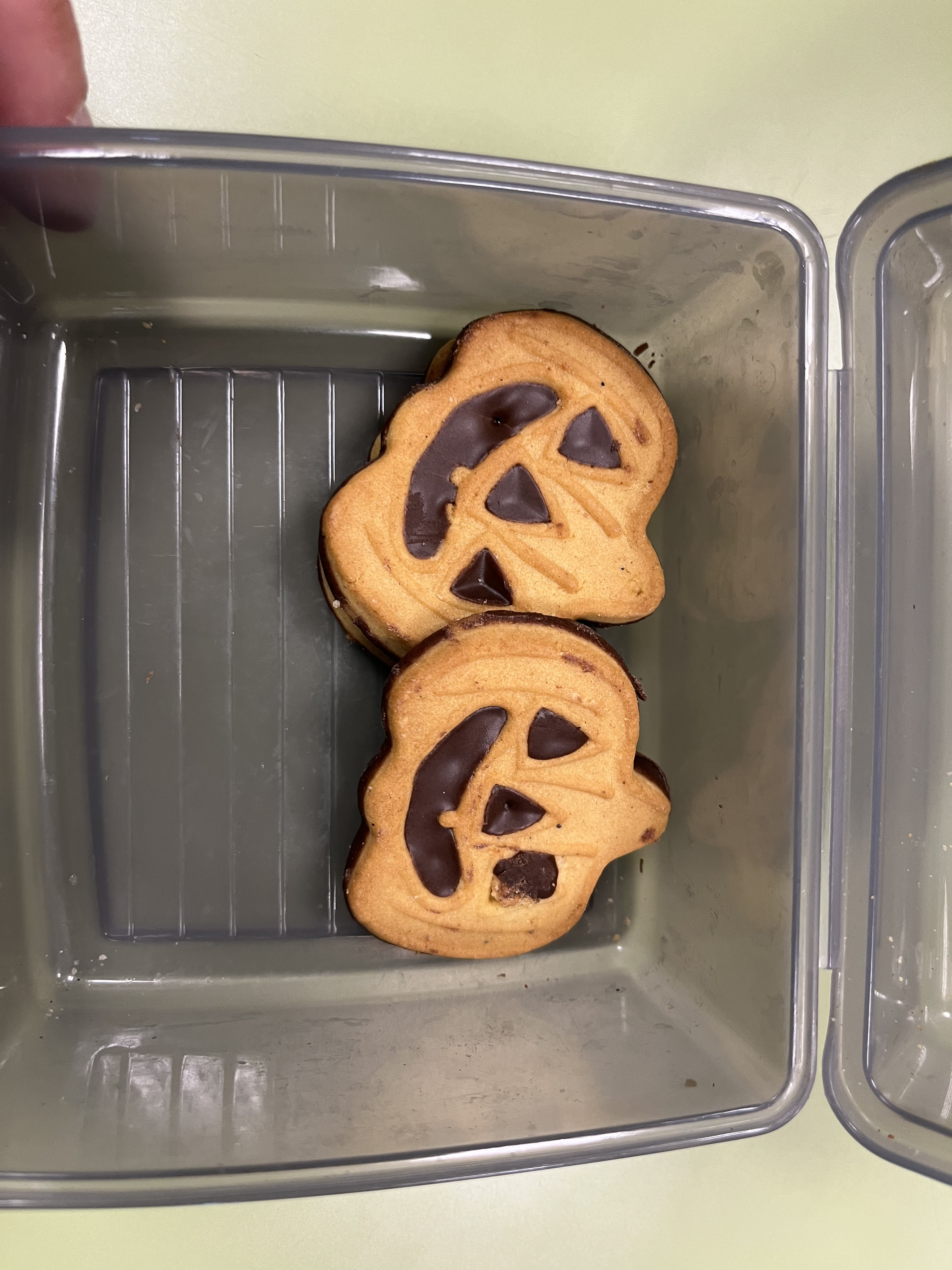 Copia de IMG_4138.jpg